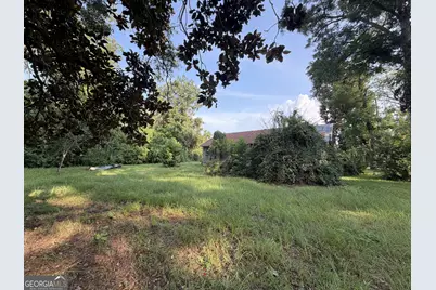321 Leo Marshall Street, Blackshear, GA 31516 - Photo 4