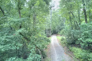 393 Loudsville Church Rd, Cleveland, GA 30528 - Photo 22