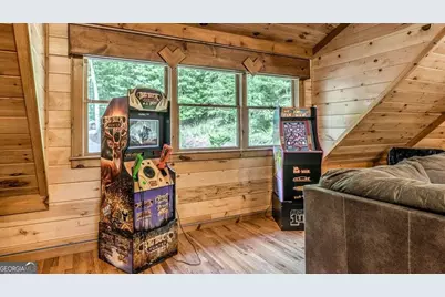 1630 Black Ankle Creek Road, Blue Ridge, GA 30513 - Photo 28