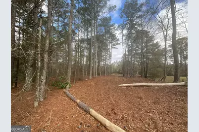 8615 Smith James Road #TRACT 2, Snellville, GA 30039 - Photo 20