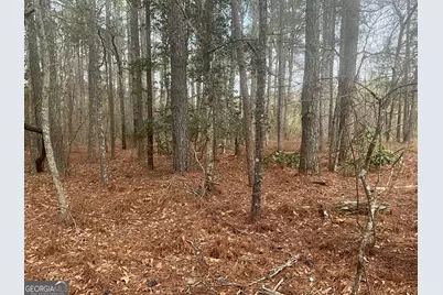 8615 Smith James Road #TRACT 2, Snellville, GA 30039 - Photo 22
