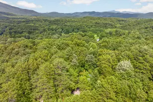 249 Monroe Ridge Rd, Sautee Nacoochee, GA 30571 - Photo 48