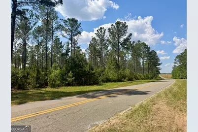 0 Poplar Springs Road, Byromville, GA 31007 - Photo 32