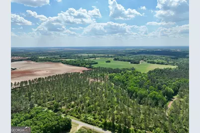 0 Poplar Springs Road, Byromville, GA 31007 - Photo 28