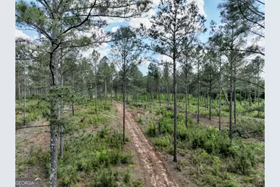 0 Poplar Springs Road, Byromville, GA 31007 - Photo 4