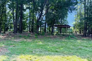 6648 Luthersville Rd, Gay, GA 30218 - Photo 4