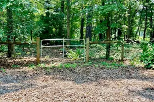 6648 Luthersville Rd, Gay, GA 30218 - Photo 34