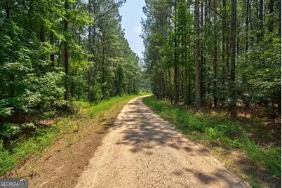 0 Jabez Poyner Road, Carlton, GA 30627 - Photo 2