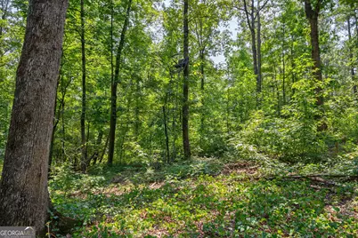 0 Jabez Poyner Road, Carlton, GA 30627 - Photo 16