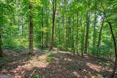 0 Jabez Poyner Road, Carlton, GA 30627 - Photo 14
