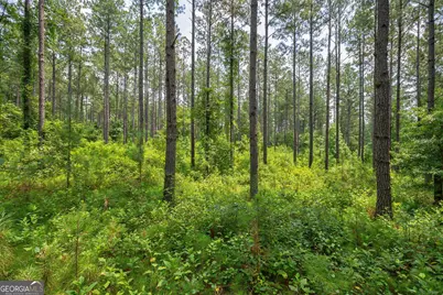 0 Jabez Poyner Road, Carlton, GA 30627 - Photo 10