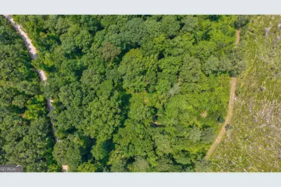 0 Jabez Poyner Road, Carlton, GA 30627 - Photo 18