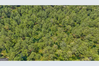 0 Jabez Poyner Road, Carlton, GA 30627 - Photo 20