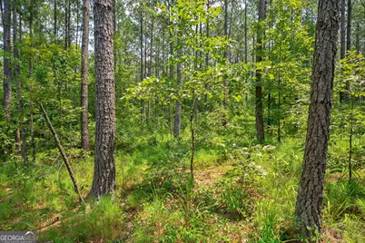 0 Jabez Poyner Road, Carlton, GA 30627 - Photo 12