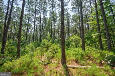 0 Jabez Poyner Road, Carlton, GA 30627 - Photo 1