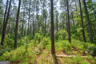 0 Jabez Poyner Rd, Carlton, GA 30627 - Photo 1