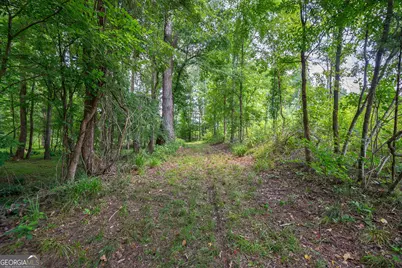 0 Jabez Poyner Road, Carlton, GA 30627 - Photo 8