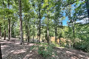 8502 S 19 Hwy, Culloden, GA 31016 - Photo 26