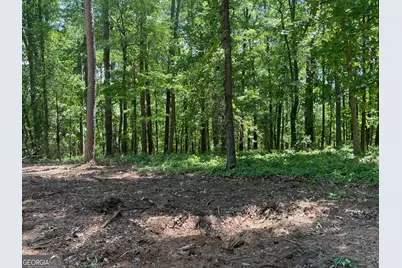 Tract 3 Chalcrest Way, Cave Spring, GA 30124 - Photo 10