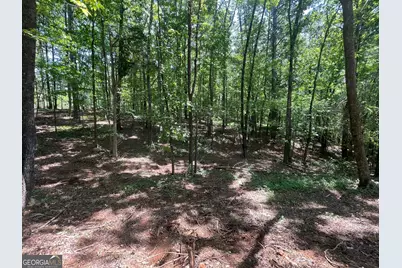 Tract 3 Chalcrest Way, Cave Spring, GA 30124 - Photo 8