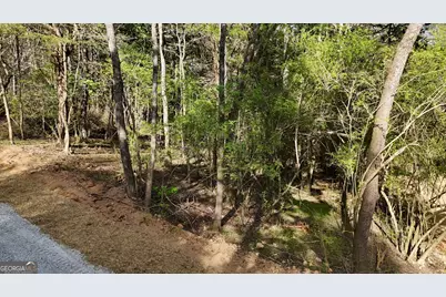 Tract 3 Chalcrest Way, Cave Spring, GA 30124 - Photo 22