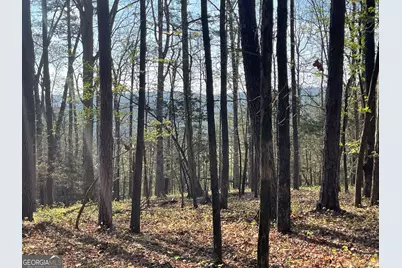 Tract 3 Chalcrest Way, Cave Spring, GA 30124 - Photo 4