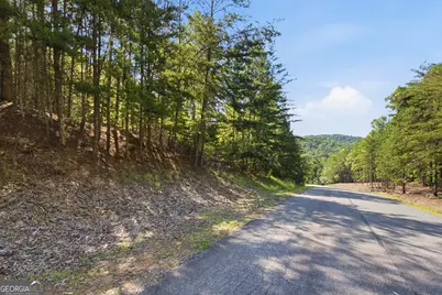 Lot 15 South Laceola Road, Cleveland, GA 30528 - Photo 6