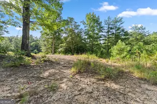 4061 4063 4065 Historic Old Hwy 441, Clarkesville, GA 30523 - Photo 102