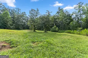 4061 4063 4065 Historic Old Hwy 441, Clarkesville, GA 30523 - Photo 104