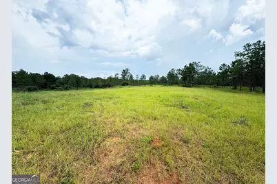 4066 Green Grove Road, Lumpkin, GA 31815 - Photo 24