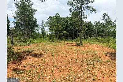 4066 Green Grove Road, Lumpkin, GA 31815 - Photo 22