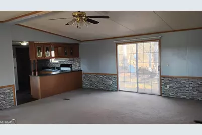 2331 Kesler Road, Carnesville, GA 30521 - Photo 12