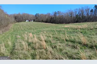 2331 Kesler Road, Carnesville, GA 30521 - Photo 1