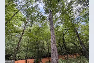 1503 McDonald Road, Covington, GA 30014 - Photo 24