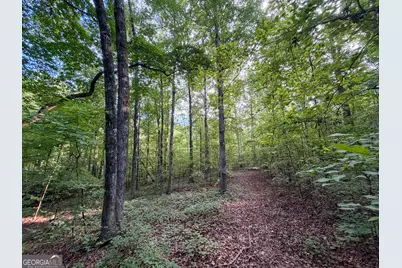 1503 McDonald Road, Covington, GA 30014 - Photo 28