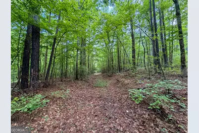 1503 McDonald Road, Covington, GA 30014 - Photo 22