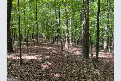 Tract 1A Chalcrest Way, Cave Spring, GA 30124 - Photo 4