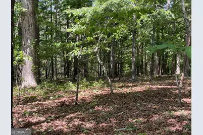Tract 1A Chalcrest Way, Cave Spring, GA 30124 - Photo 14