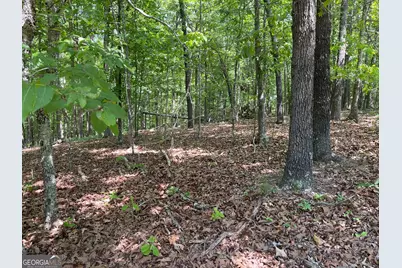 Tract 1A Chalcrest Way, Cave Spring, GA 30124 - Photo 8