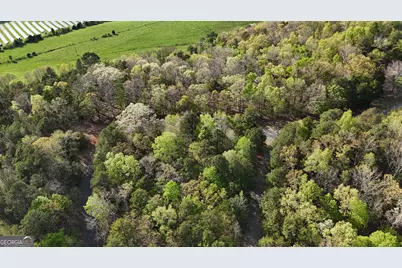 Tract 1A Chalcrest Way, Cave Spring, GA 30124 - Photo 54