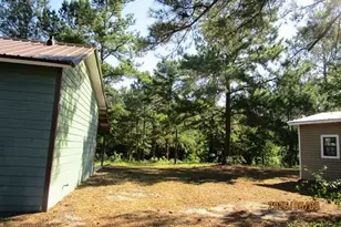 4649 Pleasant Plains Rd, Harrison, GA 31035 - Photo 16