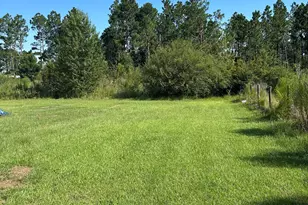 144 Red River Ln, Alma, GA 31510 - Photo 38