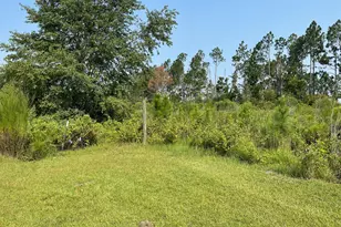 144 Red River Ln, Alma, GA 31510 - Photo 36