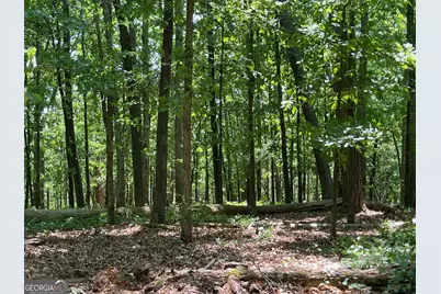 Tract 1B Chalcrest Way, Cave Spring, GA 30124 - Photo 14
