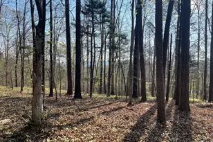 Tract 1B Chalcrest Way, Cave Spring, GA 30124 - Photo 1