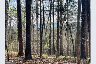 Tract 1B Chalcrest Way, Cave Spring, GA 30124 - Photo 2