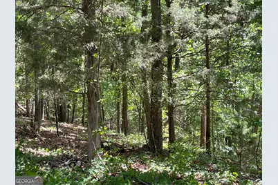 Tract 1B Chalcrest Way, Cave Spring, GA 30124 - Photo 10