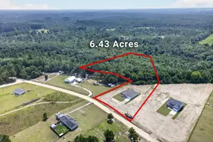 481 S T Morris Rd NE, Ludowici, GA 31316 - Photo 6