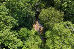 3729 Duncan Bridge Rd, Cornelia, GA 30531 - Photo 46