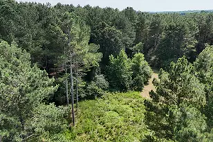 3729 Duncan Bridge Rd, Cornelia, GA 30531 - Photo 58